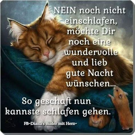 guten nacht bis morgen|german good night wishes.